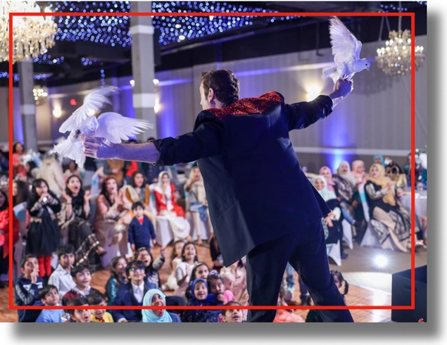 Family Event Clean Comedy Magician Corporate Comedy Magician For Company Parties and Trade Shows in the USA